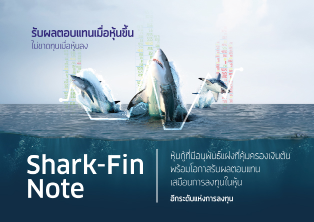 Sharks-finKK-Web_Banner-Home-628x443