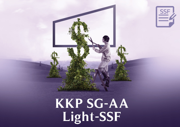 KKP_SG-AA-Light-SSF_628x443