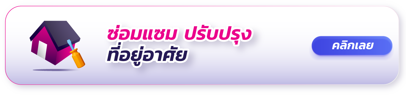 ซ่อมแซม